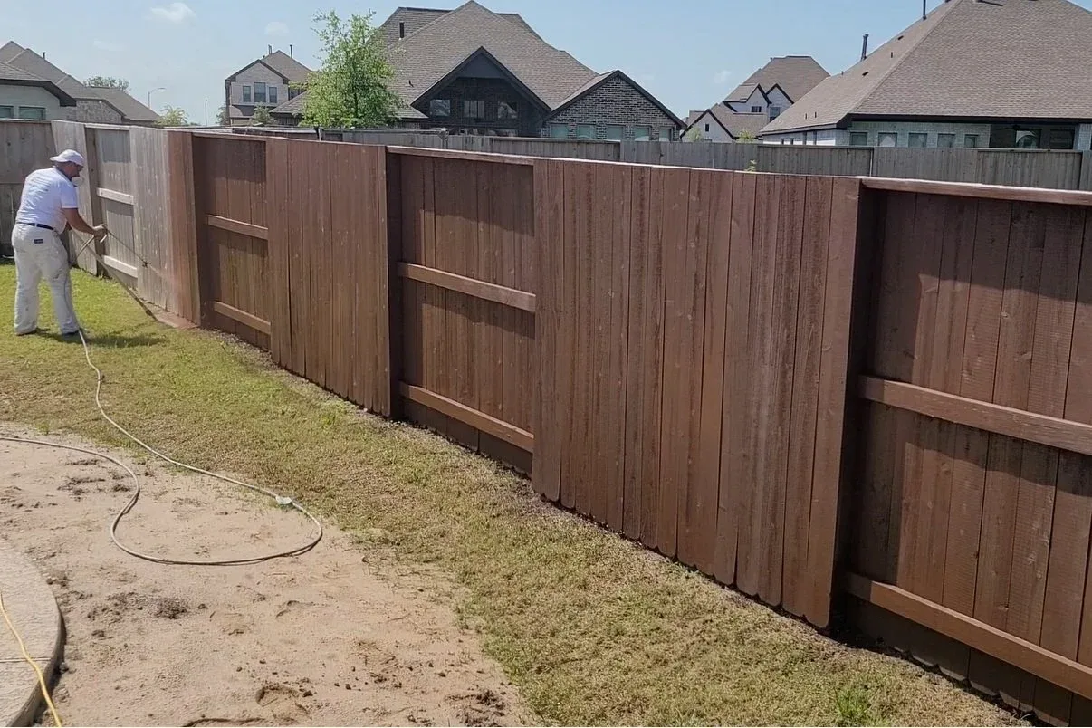 man staining dark brown fence