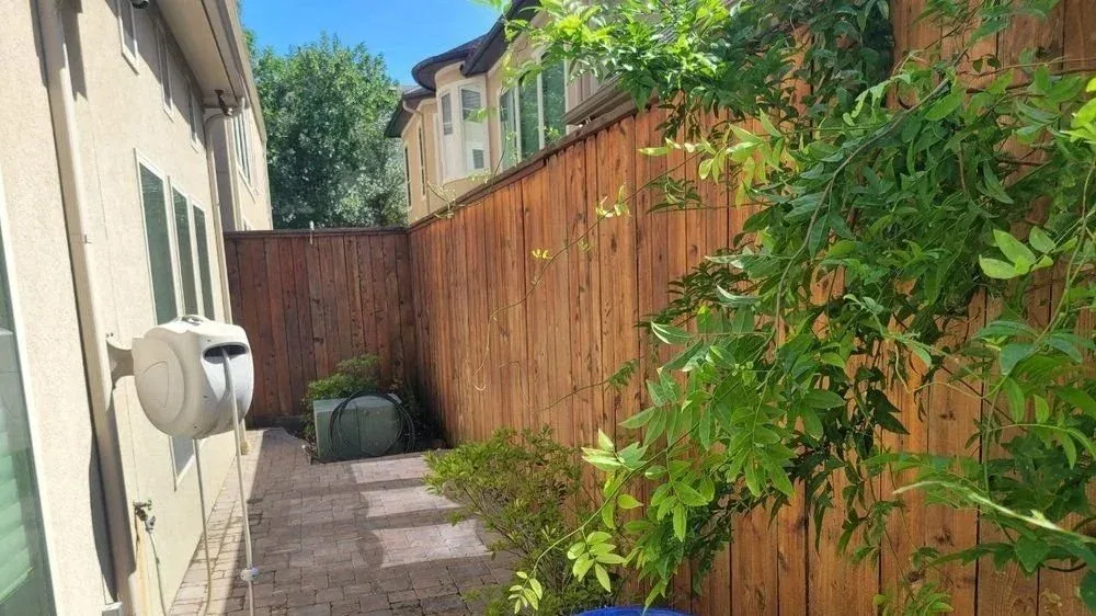 Fence Staining project in Sugar Land, TX by The Proud Paintbrush