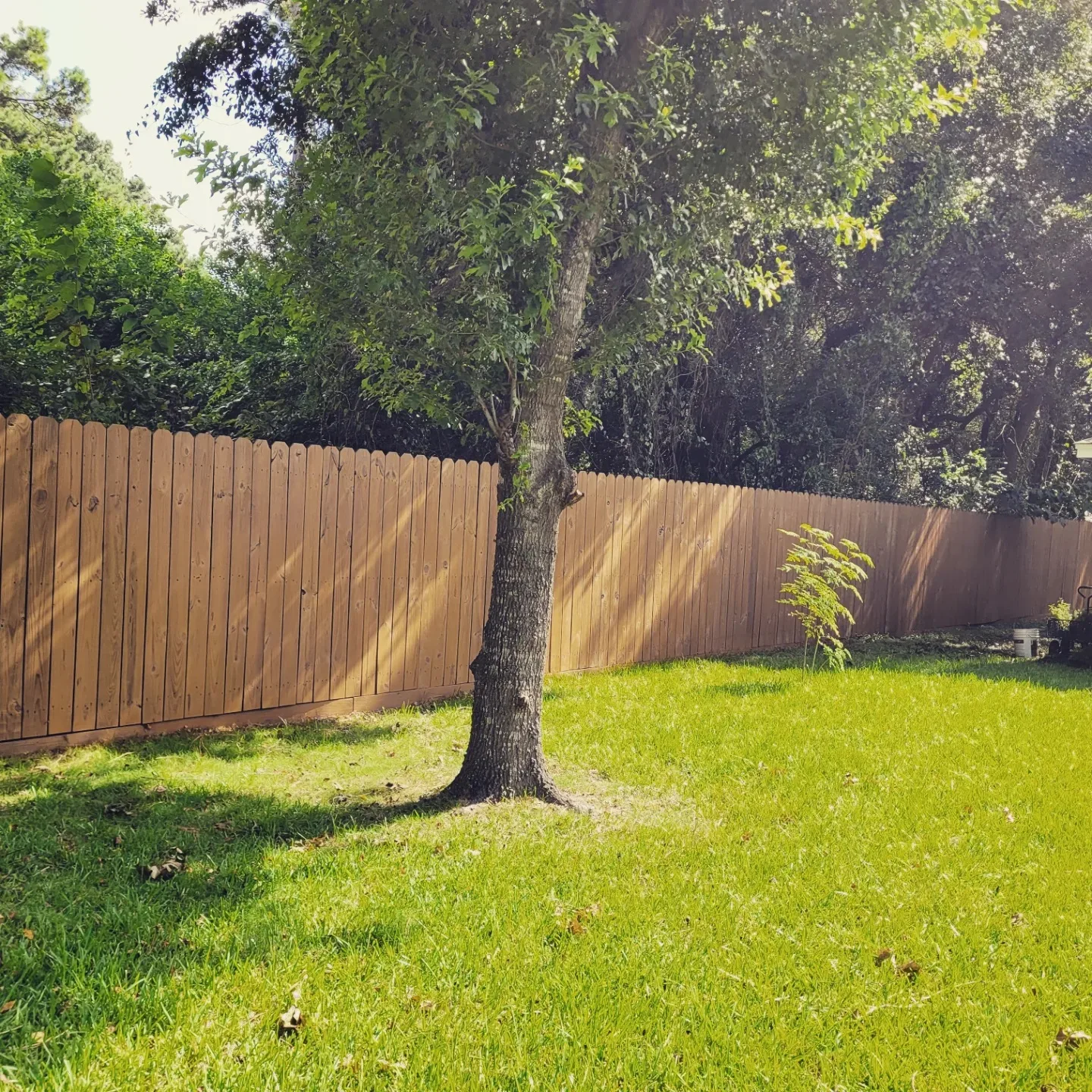 Stained Wood Privacy Fence in West Houston, TX by The Proud Paintbrush